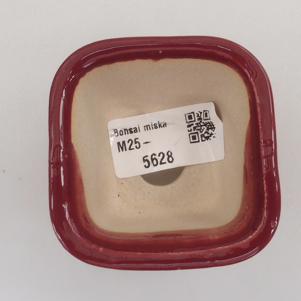 Ciotola per mini bonsai 6 x 6 x 4,5 cm, bordeaux