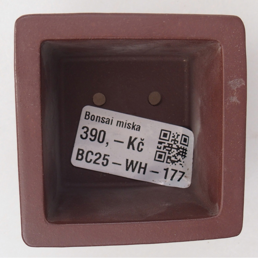 Ciotola per mini bonsai 6 x 6 x 4,5 cm, marrone