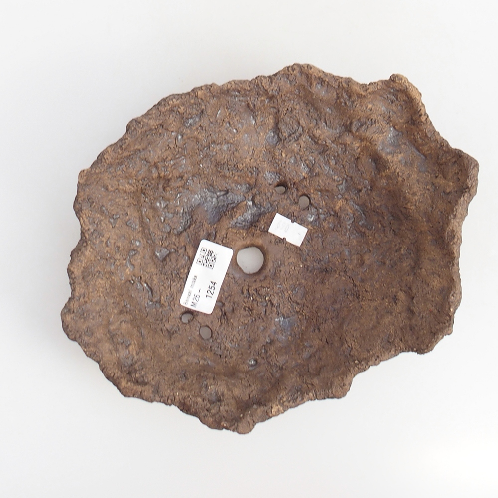 Conchiglia in ceramica 20 x 14 x 7 cm , colore marrone