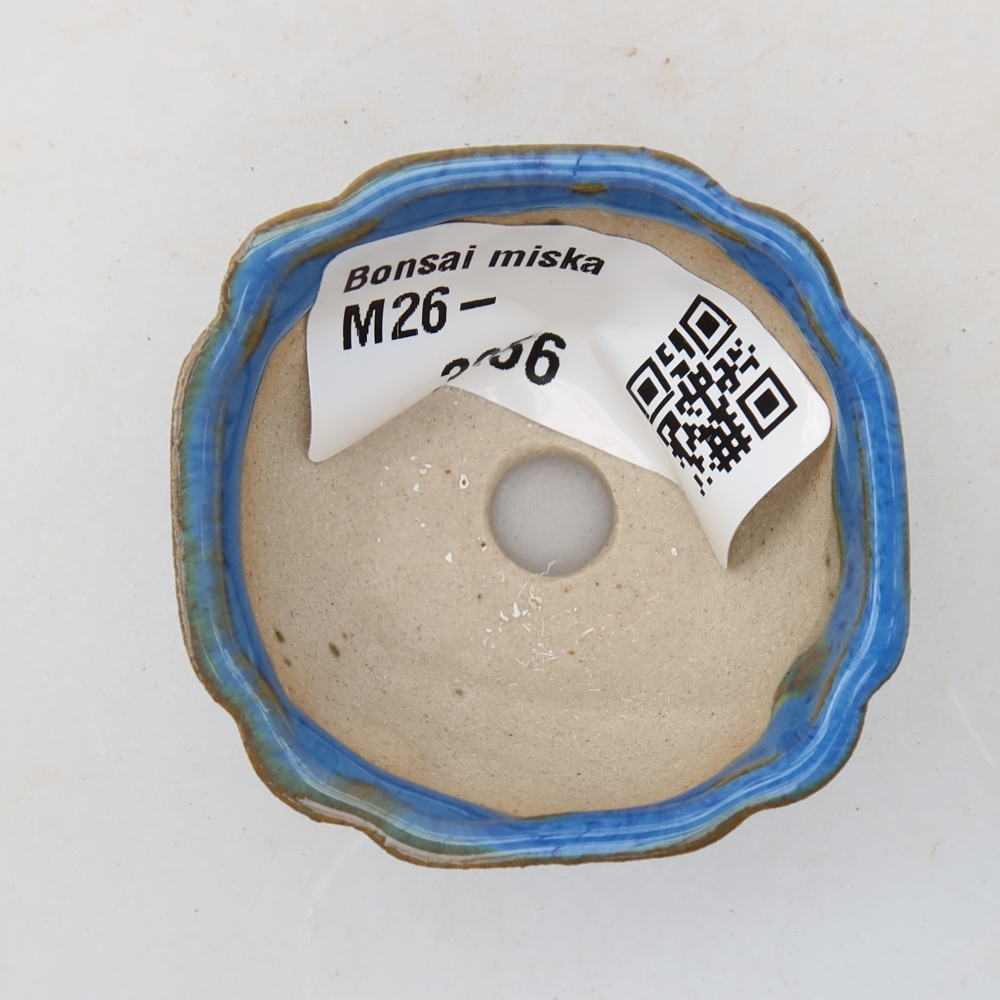 Ciotola per bonsai in ceramica 4,5 x 4,5 x 2,5 cm, colore blu