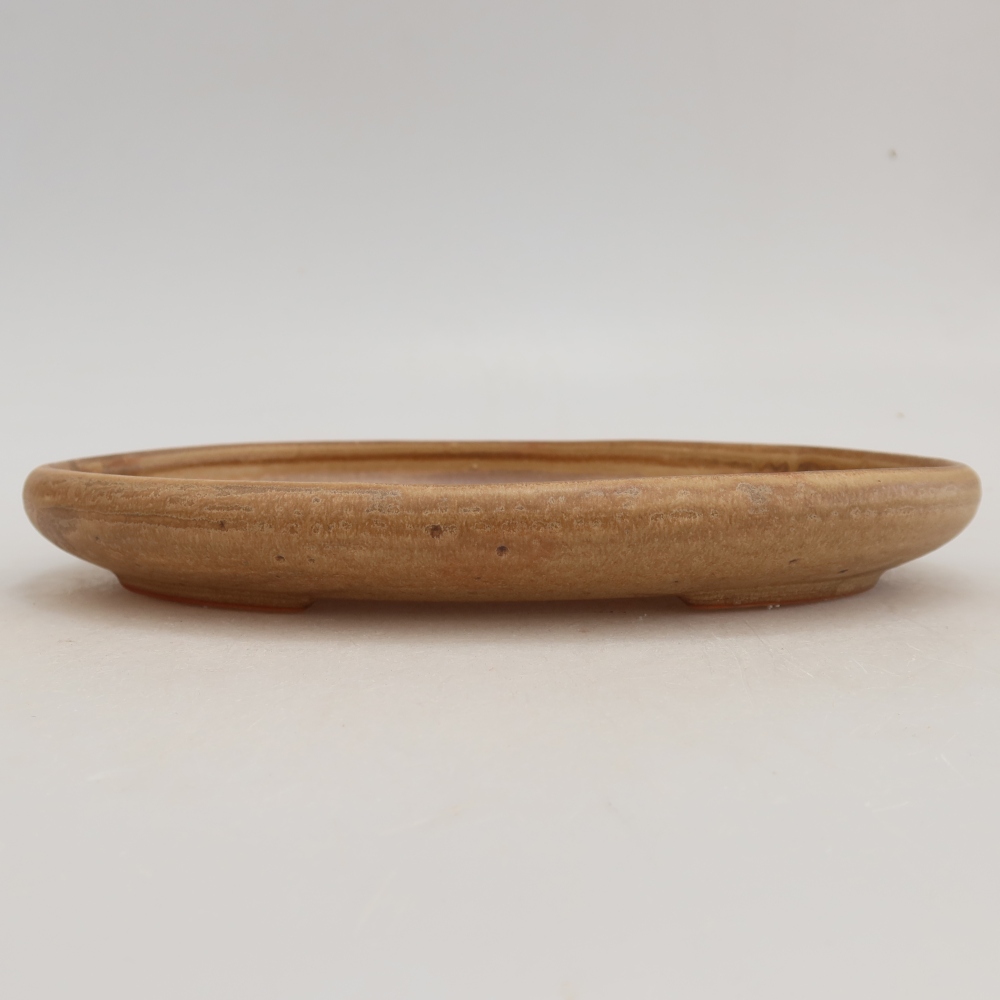 Ciotola per bonsai in ceramica 22,5 x 16,5 x 3 cm, colore beige