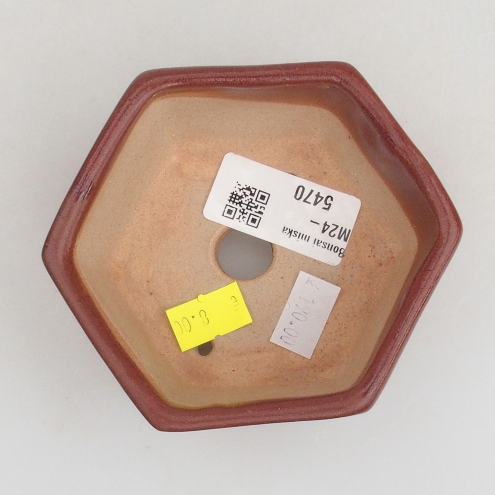 Ciotola per bonsai in ceramica 9,5 x 9 x 4,5 cm, marrone