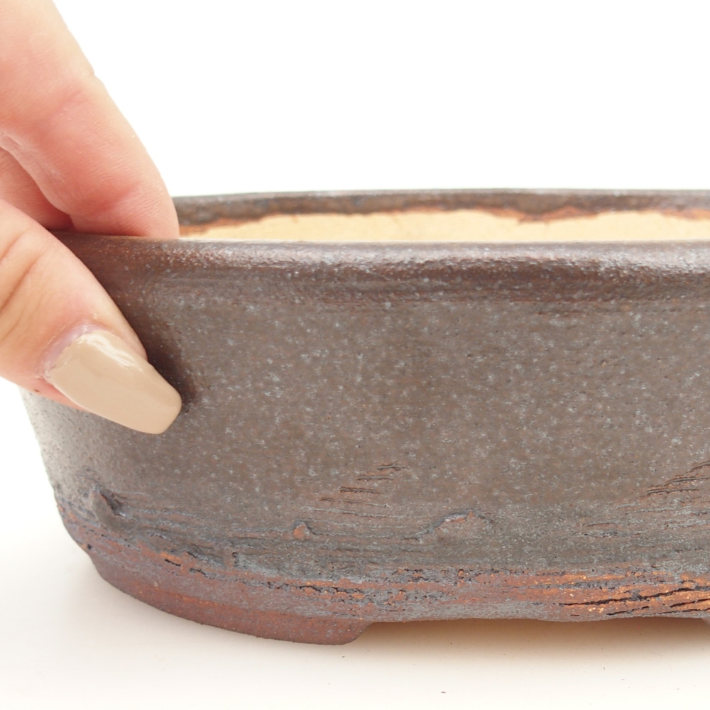 Ciotola per bonsai 20 x 16 x 6 cm , colore marrone