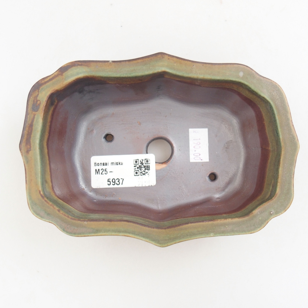 Ciotola bonsai in ceramica 22 x 17 x 5 cm, verde