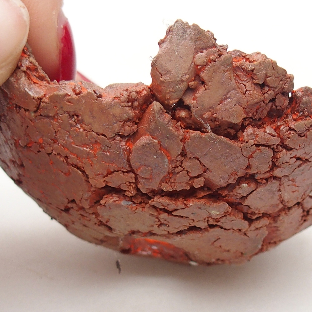 Conchiglia in ceramica 7 x 7 x 4 cm , colore arancione