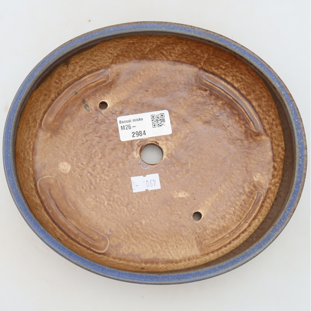 Vaso da bonsai in ceramica 21 x 19 x 4,5 cm, colore blu