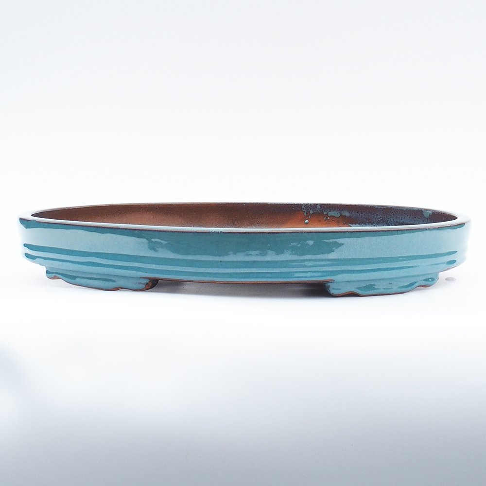 Ciotola 51 x 37 x 6,5 cm blu