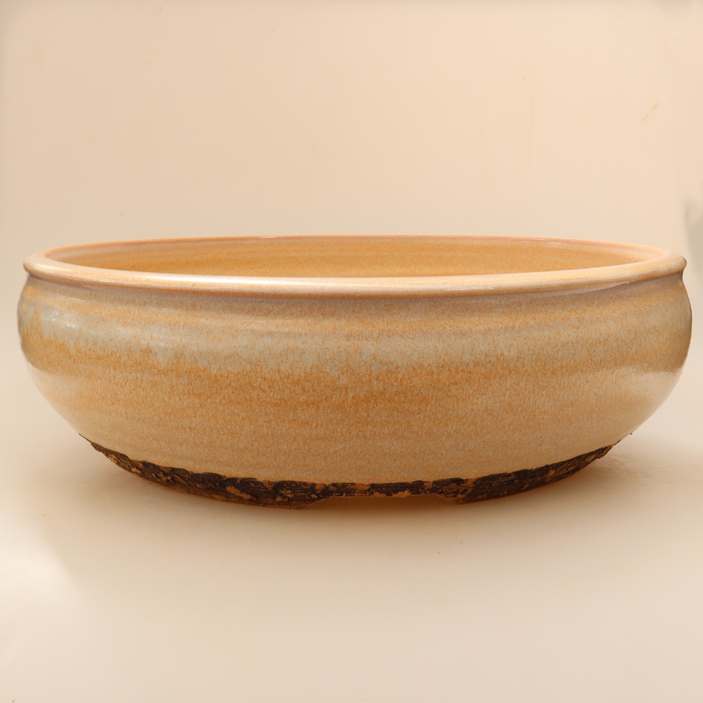 Vaso da bonsai in ceramica 35 x 35 x 11 cm, colore beige - SOLO RITIRO IN NEGOZIO o spedizione su pallet