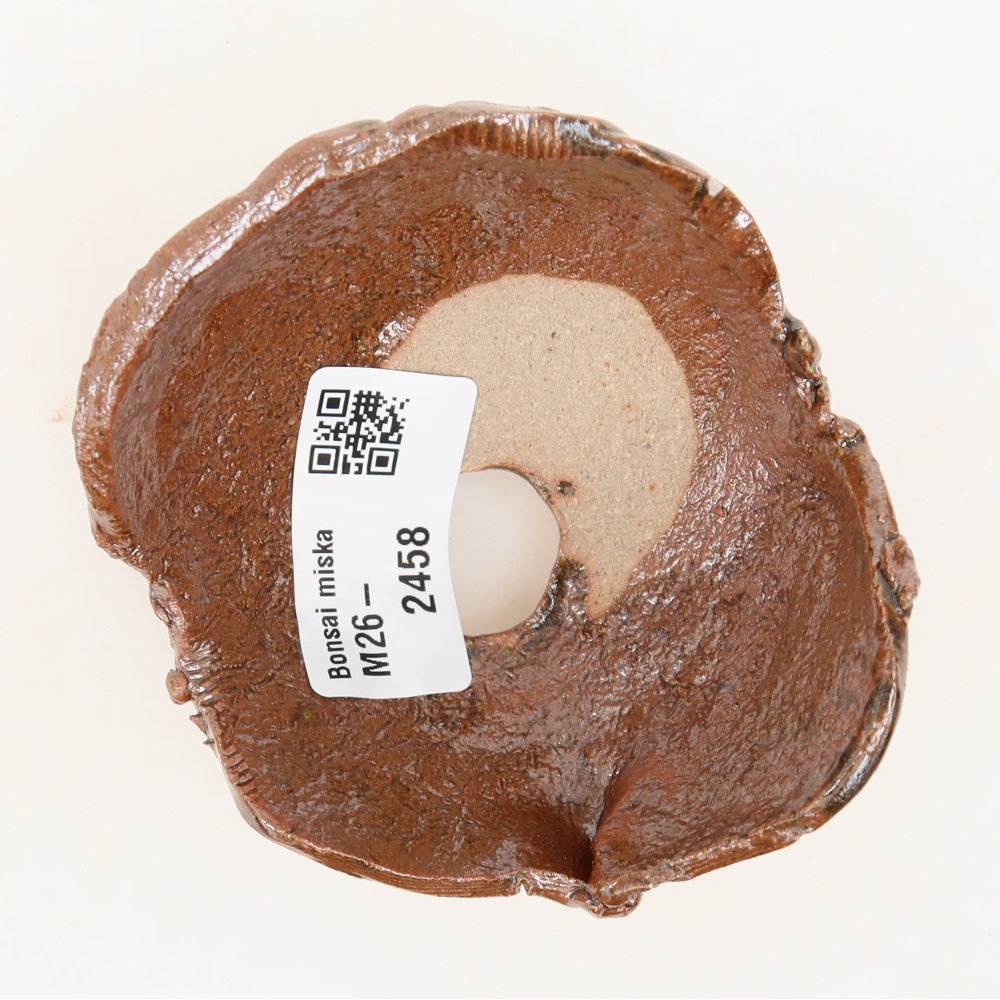 Conchiglia in ceramica 8 x 8 x 5 cm , colore marrone