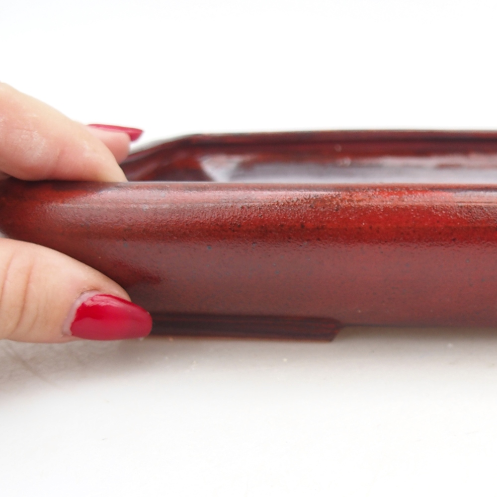 Ciotola per bonsai in ceramica 24 x 17,5 x 4 cm, colore rosso