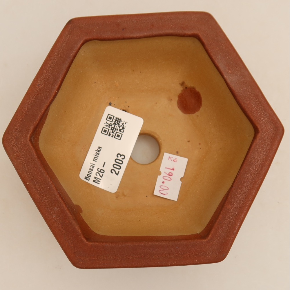 Vaso da bonsai in ceramica 12 x 10,5 x 4 cm, colore bordeaux