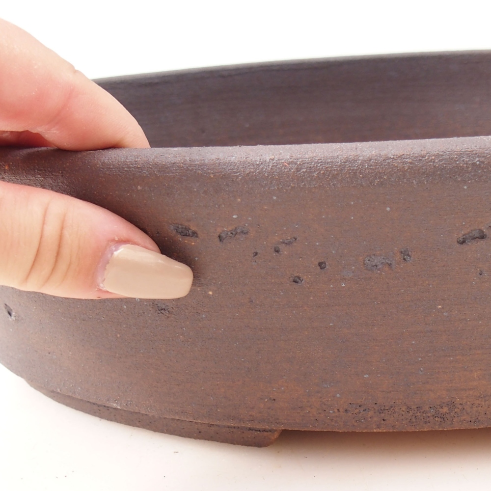 Ciotola per bonsai 31,5 x 25 x 8 cm , colore marrone