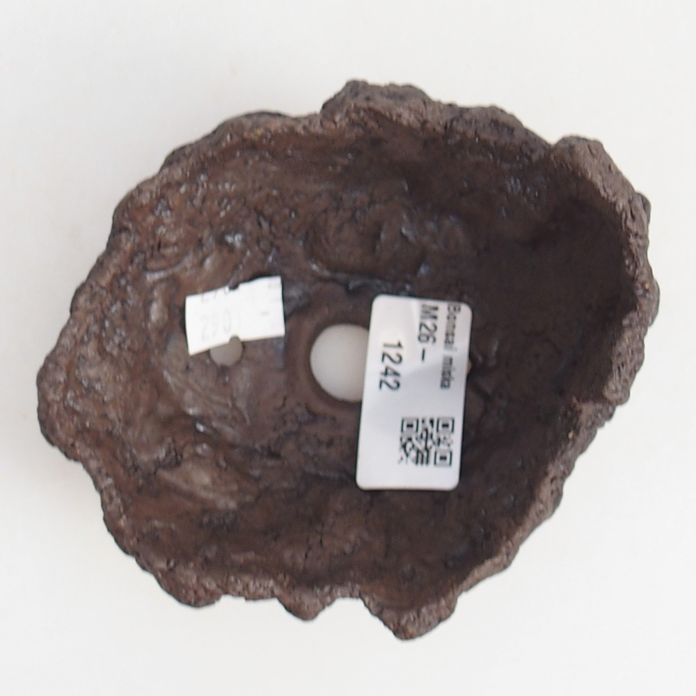 Conchiglia in ceramica 10 x 9 x 7,5 cm , colore marrone