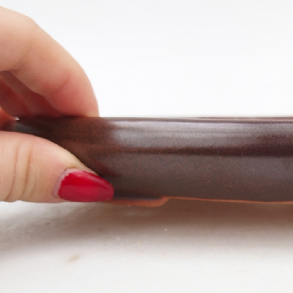 Ciotola per bonsai in ceramica 22 x 17 x 3 cm, marrone