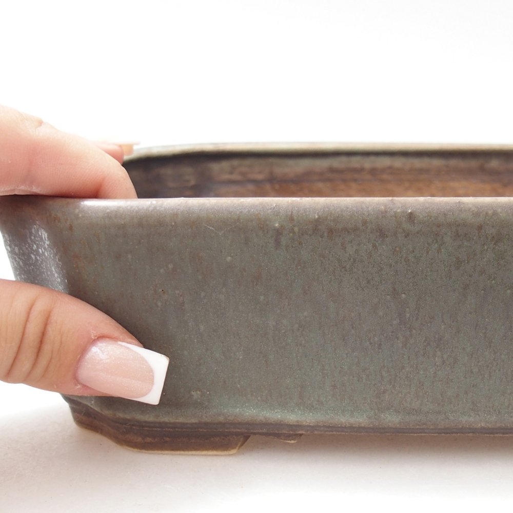 Ciotola per bonsai in ceramica 21,5 x 18 x 6 cm, colorata e annaffiata