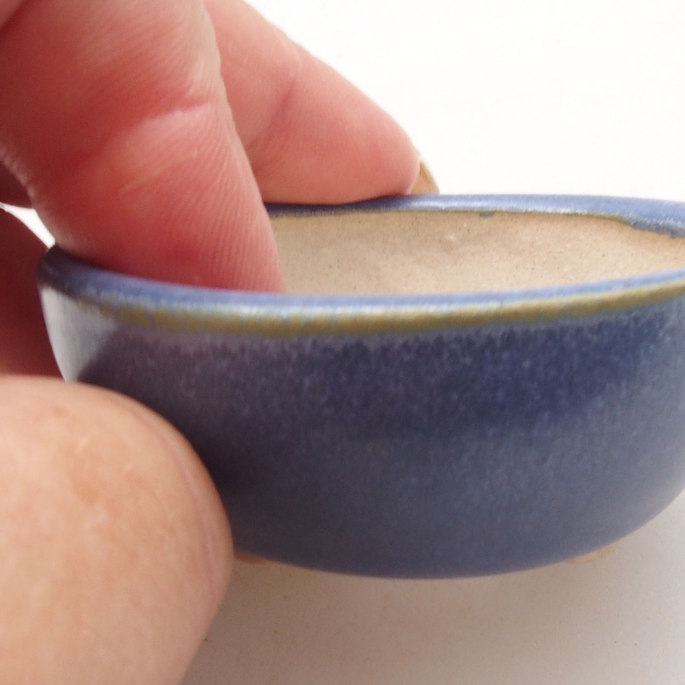 Mini bonsai 6 x 6 x 2,5 cm, colore blu