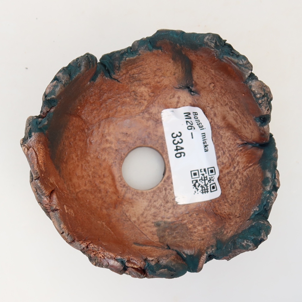 Guscio in ceramica  9 x 8 x 5,5 cm, colore verde