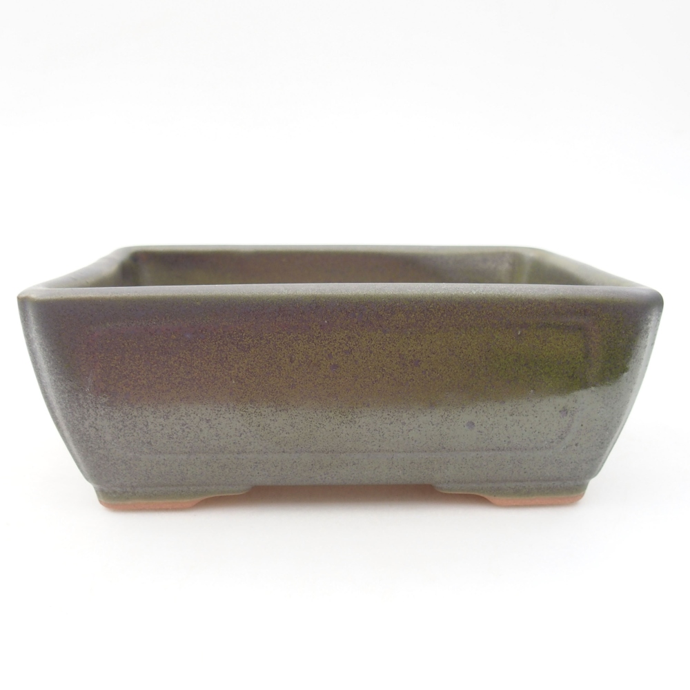 Ciotola per bonsai in ceramica 16 x 12 x 6 cm, verde