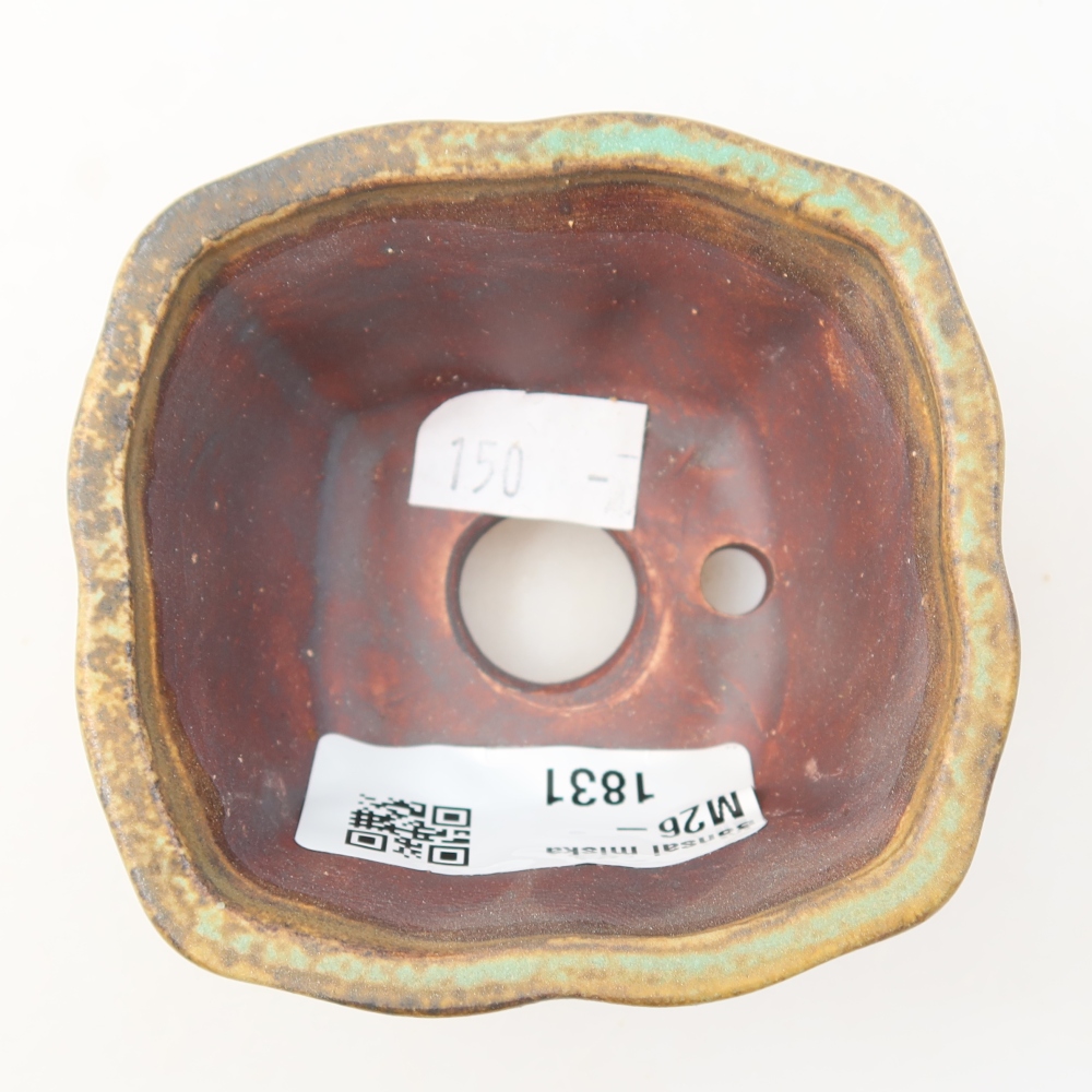 Ciotola per bonsai in ceramica 7,5 x 7 x 3,5 cm, verde