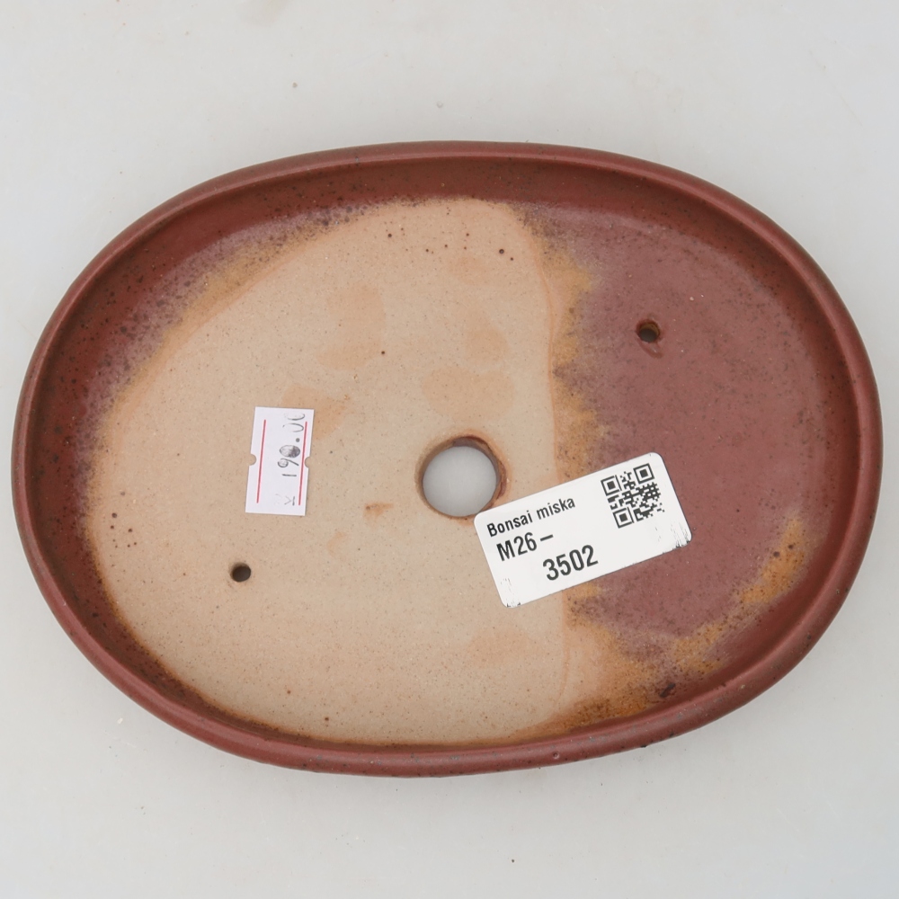 Vaso da bonsai in ceramica 17 x 12 x 2,5 cm, colore rosa