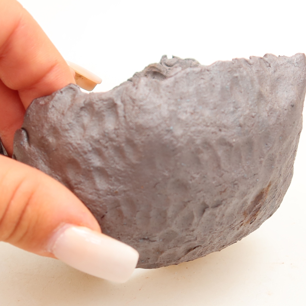 Guscio in ceramica  10 x 9,5 x 7 cm, colore metallizzato