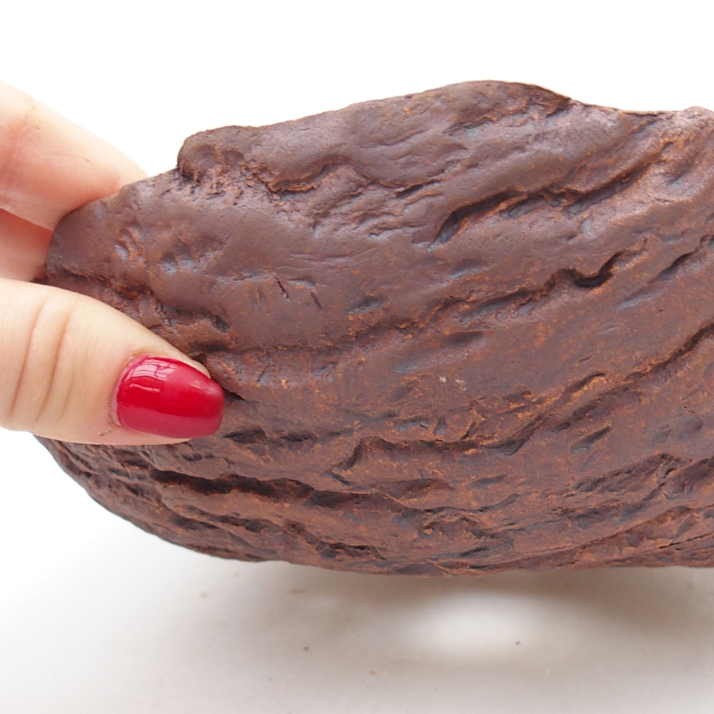 Conchiglia in ceramica 19 x 19 x 6,5 cm , colore marrone