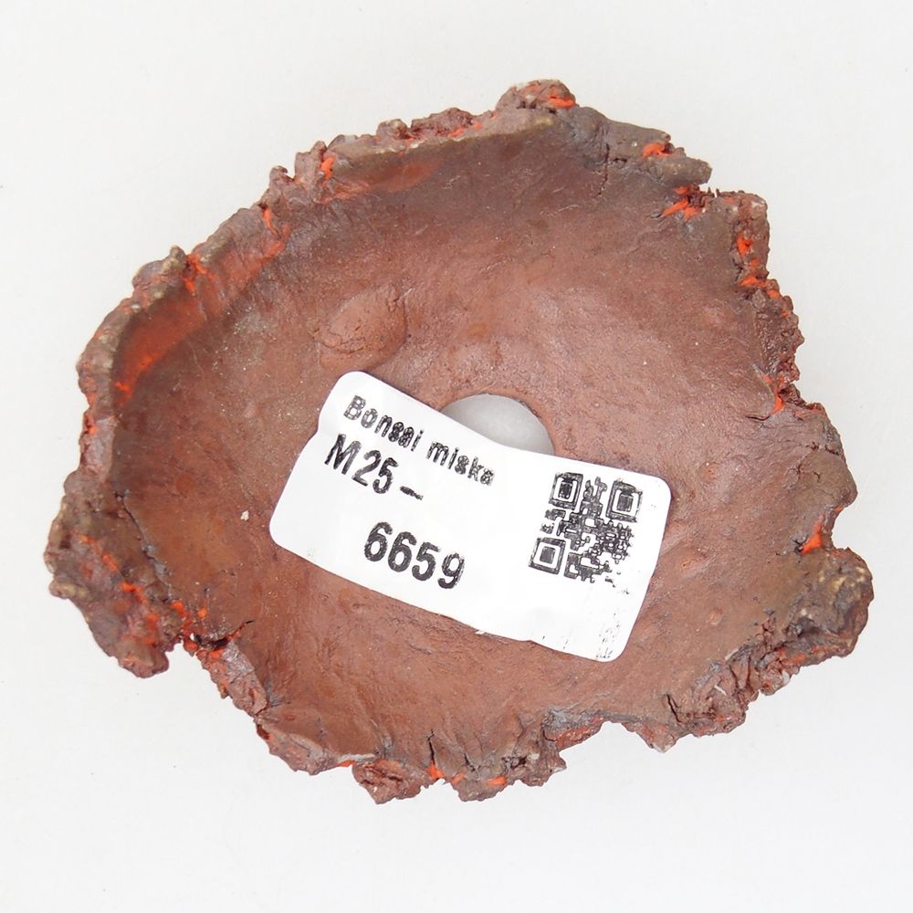 Conchiglia in ceramica 7 x 7 x 3 cm , colore arancione