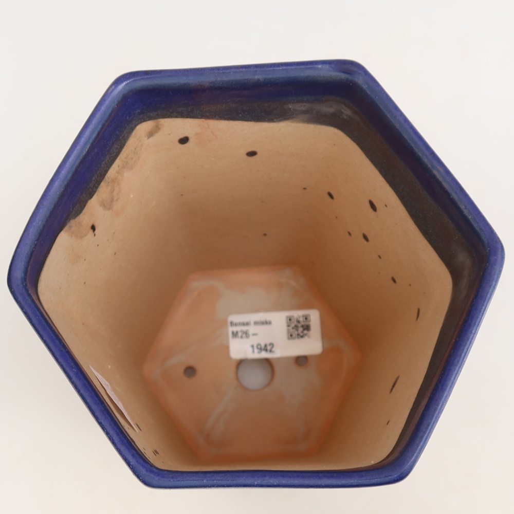 Vaso da bonsai in ceramica 13 x 12 x 17 cm, colore blu