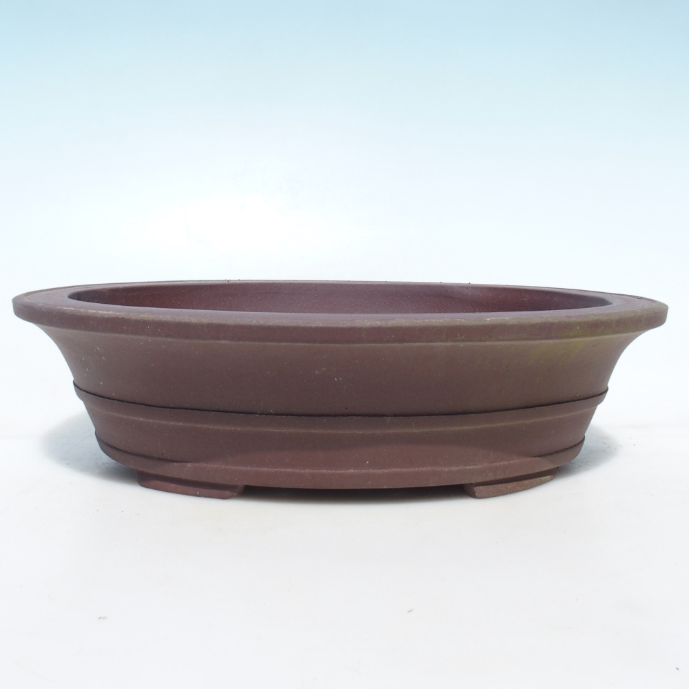 Ciotola bonsai 33 x 27 x 8,5 cm betulla marrone