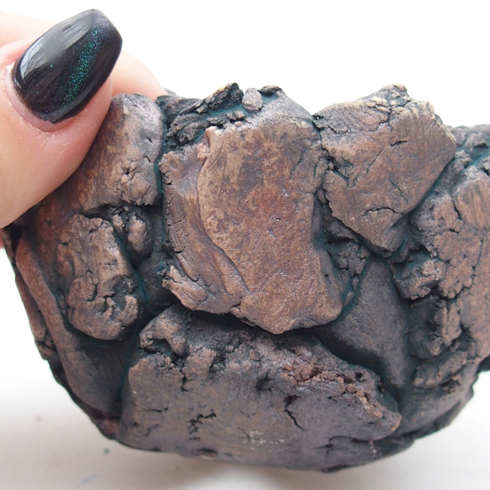 Conchiglia in ceramica 9,5 x 9 x 6 cm , colore verde