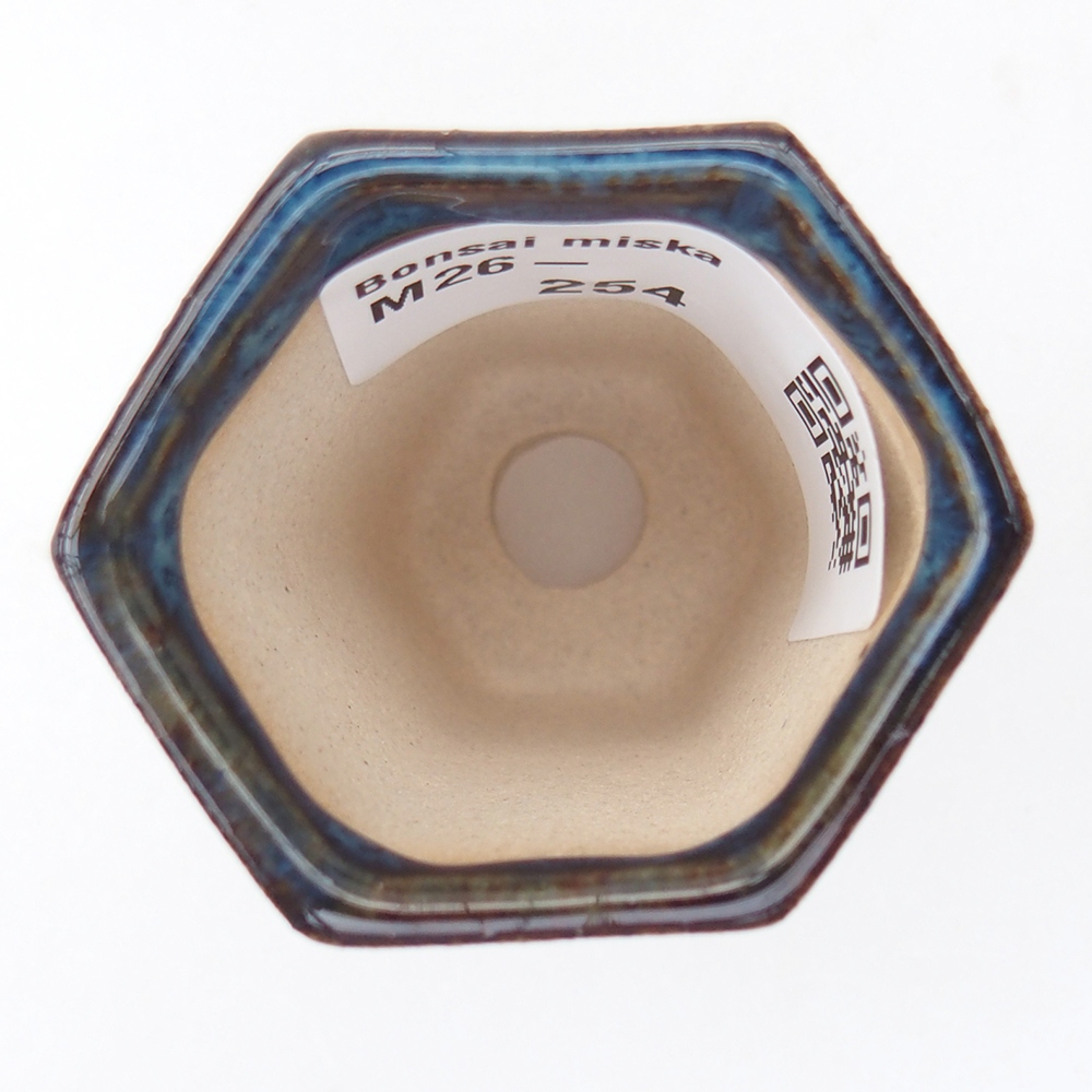 Mini bonsai 4 x 3,5 x 5,5 cm, colore blu