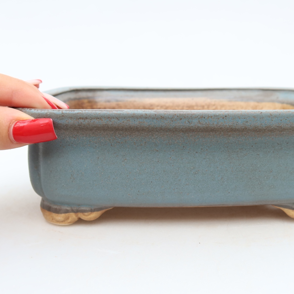 Vaso in ceramica per bonsai 20 x 17,5 x 6 cm, colore blu