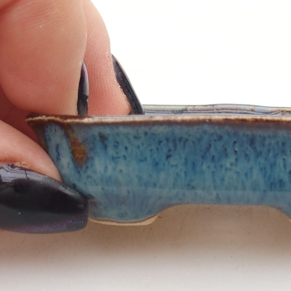 Mini bonsai 6 x 4 x 1,5 cm, colore blu