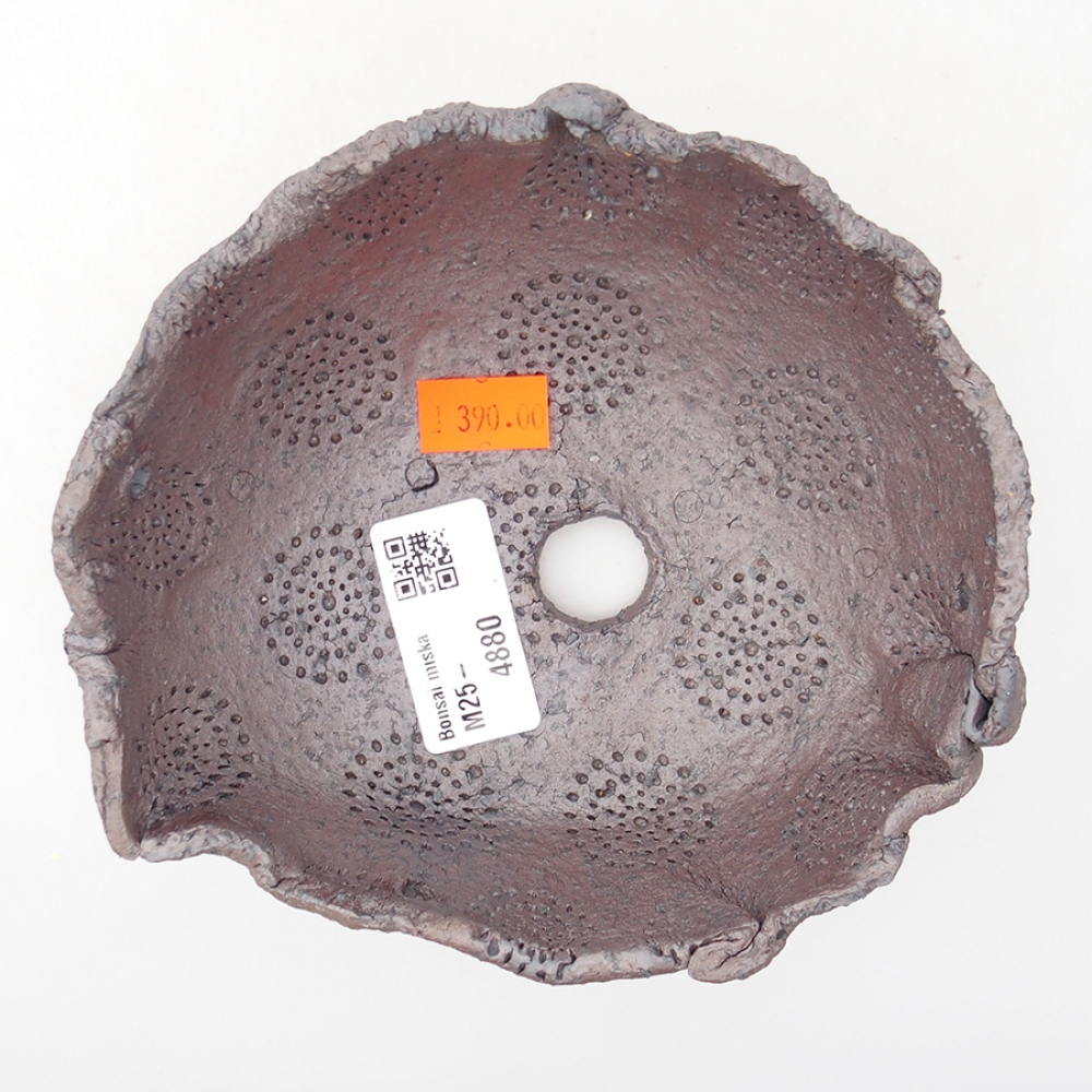 Guscio in ceramica 14 x 12 x 6,5 cm, colore metallizzato