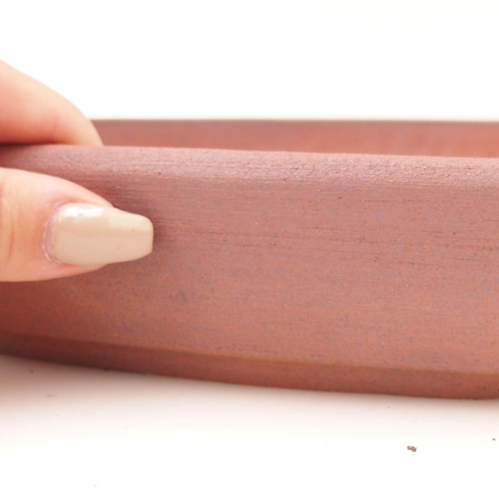 Ciotola per bonsai 48,5 x 31 x 4,5 cm , colore marrone - SOLO RITIRO PERSONALE O TRASPORTO IN PALLET