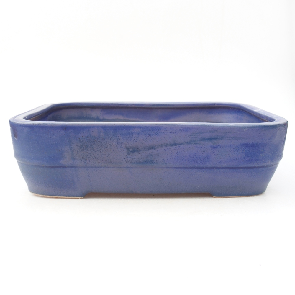 Ciotola bonsai in ceramica 27,5 x 20,5 x 7,5 cm, colore blu