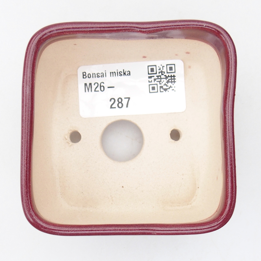 Ciotola per mini bonsai 7 x 7 x 4 cm, bordeaux