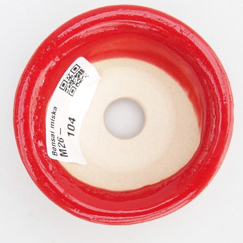 Mini bonsai 7,5 x 7,5 x 3 cm, colore rosso