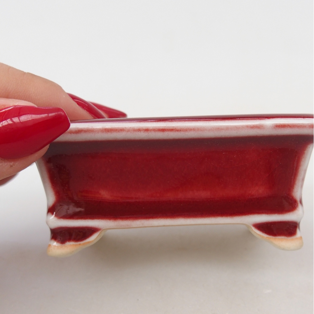 Mini bonsai 7,5 x 6,5 x 3,5 cm, colore rosso