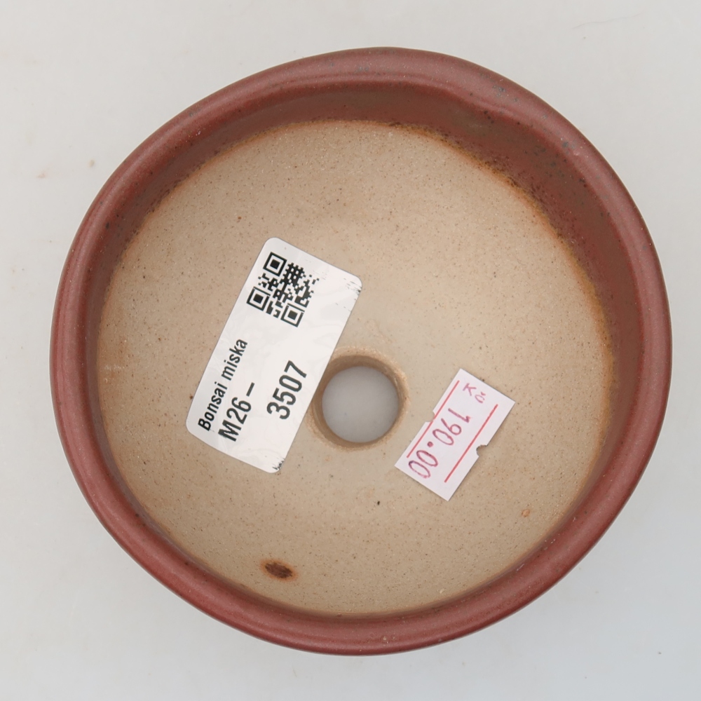 Vaso da bonsai in ceramica 10 x 10 x 5 cm, colore rosa
