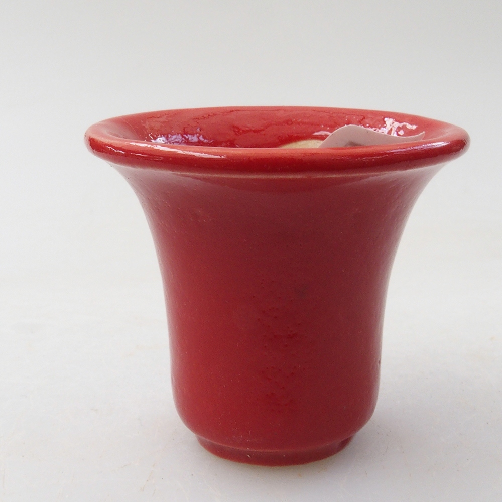 Mini bonsai 4 x 4 x 4 cm, colore rosso