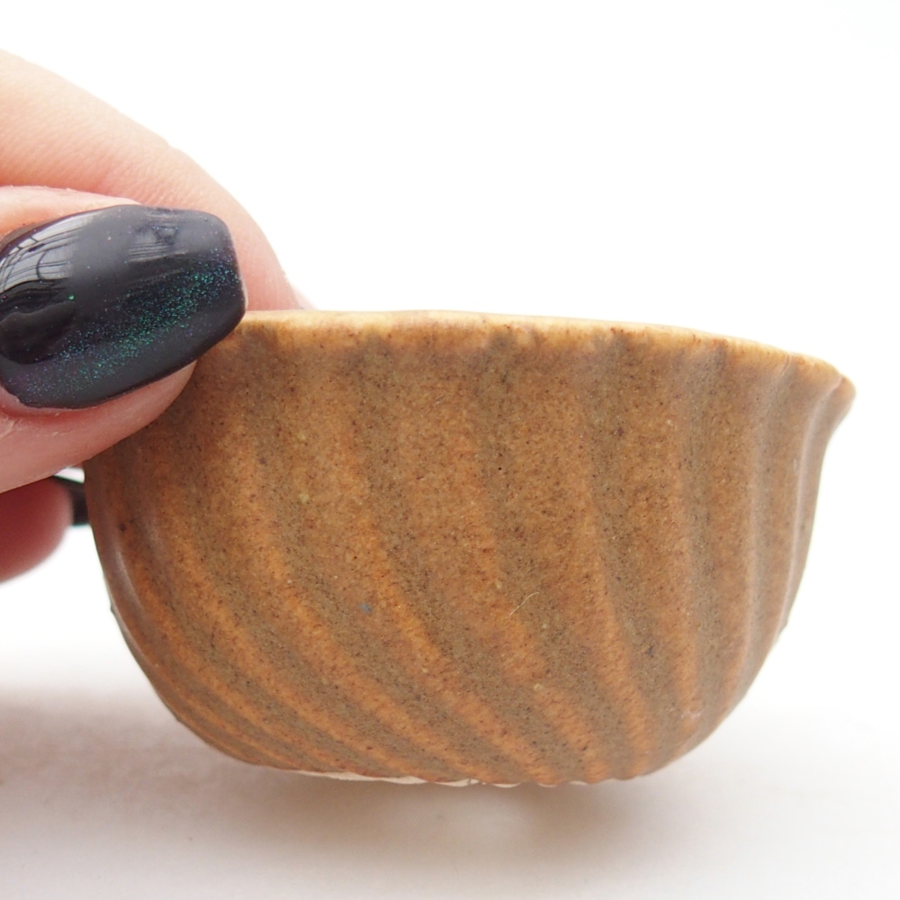 Ciotola per mini bonsai 5,5 x 5,5 x 3 cm, marrone