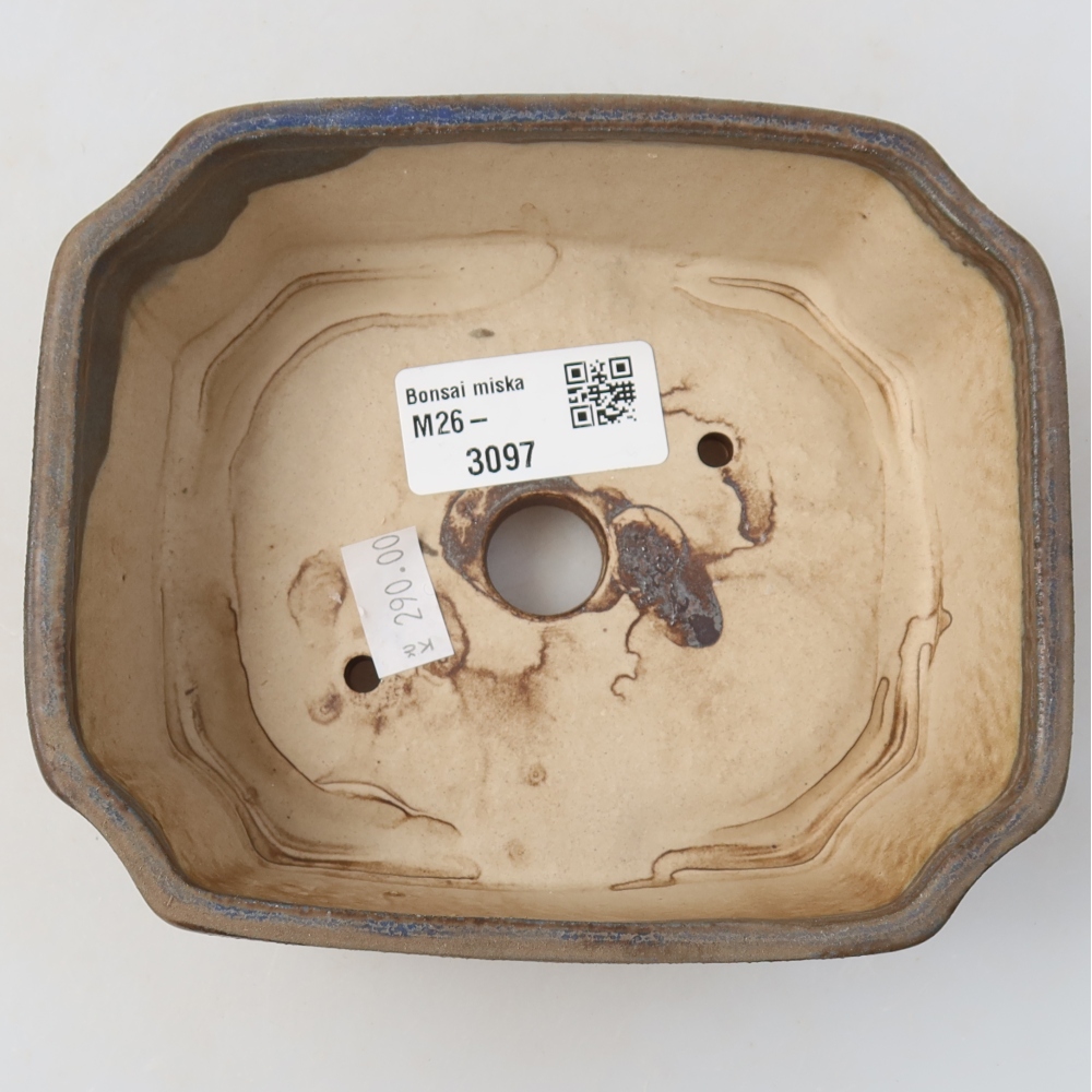 Ciotola bonsai in ceramica 14 x 11,5 x 4,5 cm, colore blu