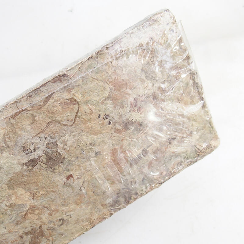 Sfagno - muschio di torba 100 gr