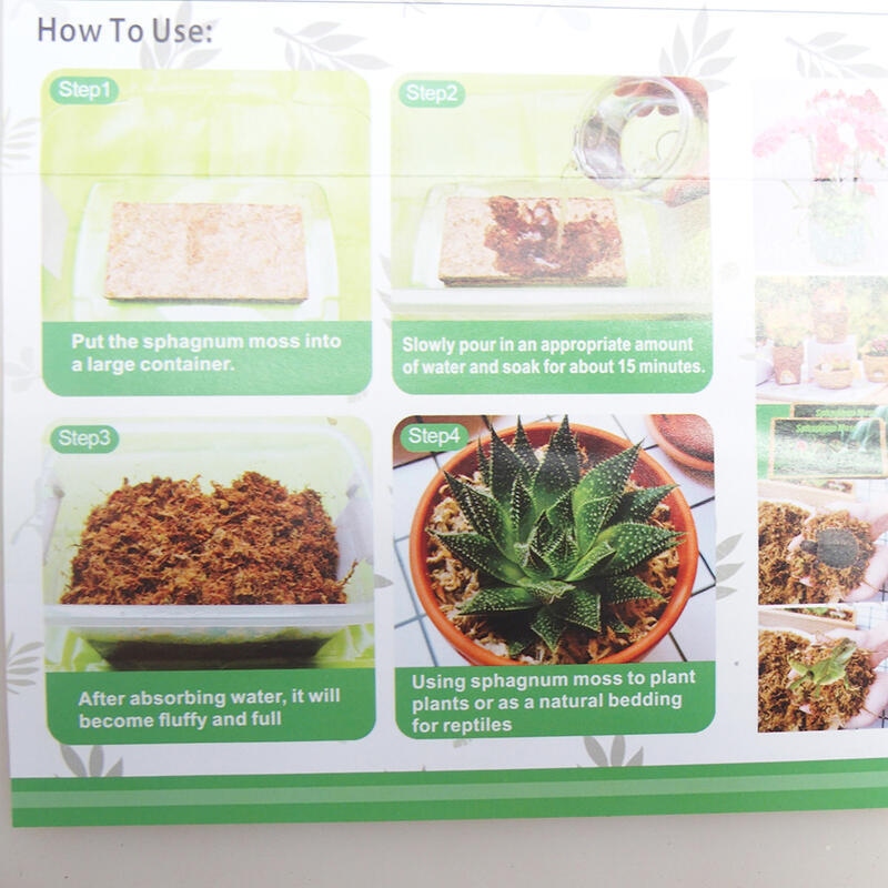 Sfagno - muschio di torba 50 gr