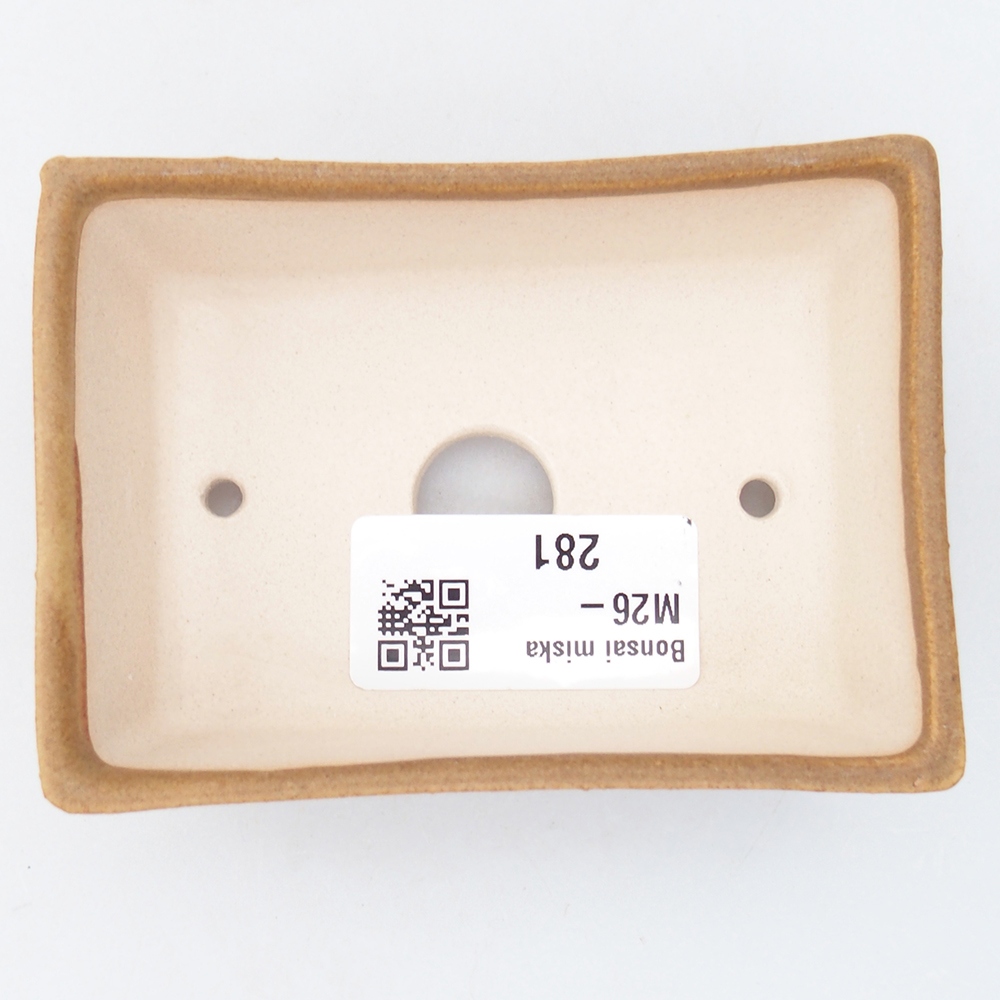 Mini bonsai 9 x 6,5 x 3,5 cm, marrone