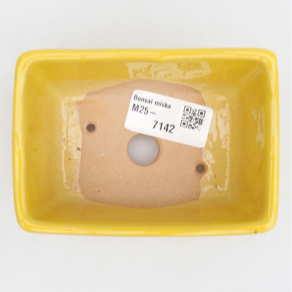 Ciotola bonsai in ceramica 26 x 26 x 8 cm, colore rosso