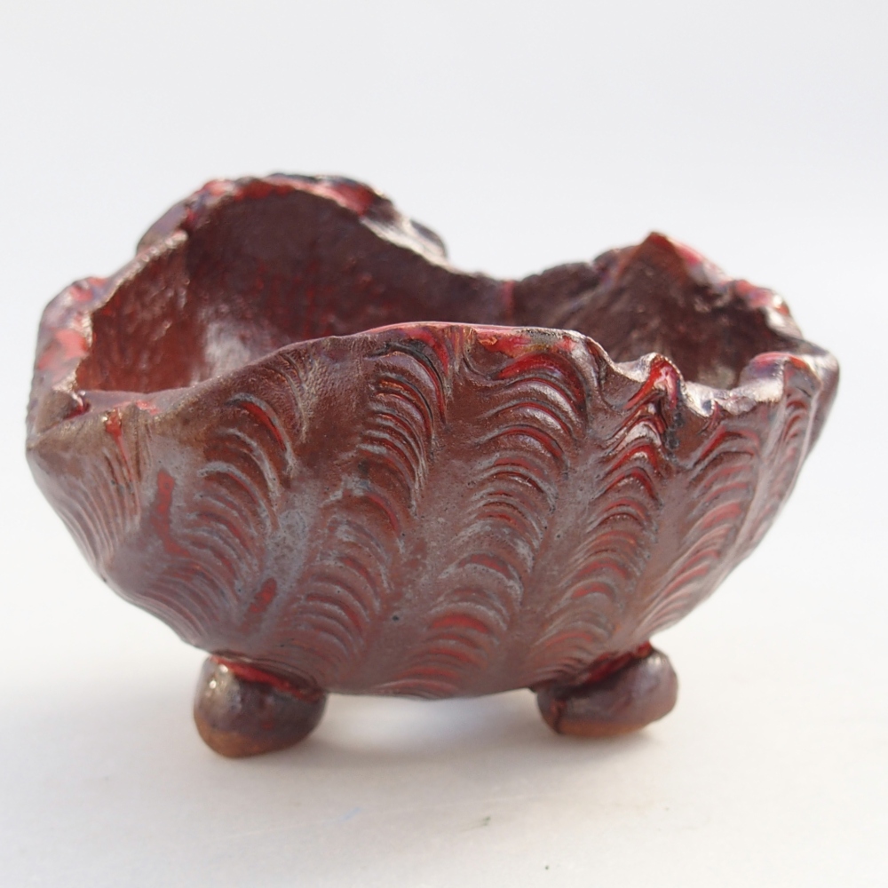 Conchiglia in ceramica 10 x 10 x 8 cm , colore marrone