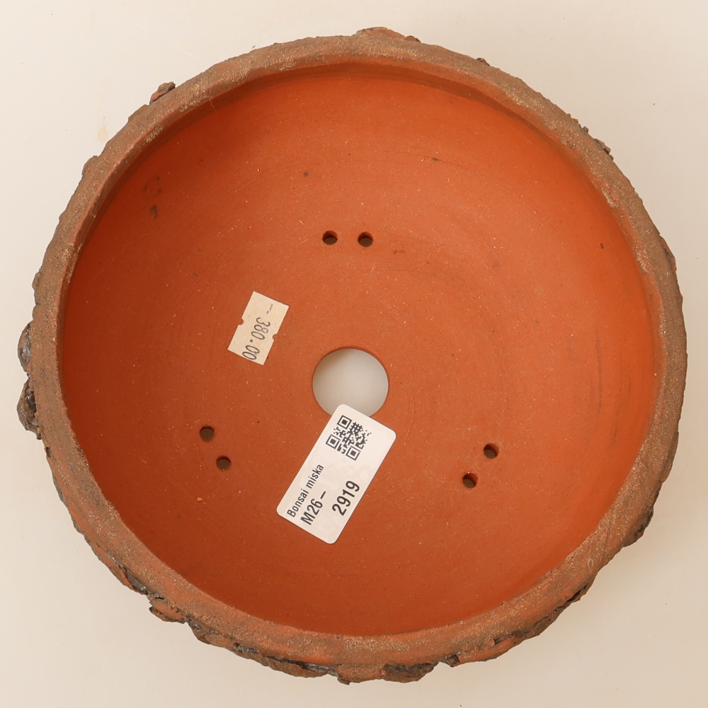 Vaso da bonsai in ceramica 17,5 x 17,5 x 6,5 cm, colore marrone