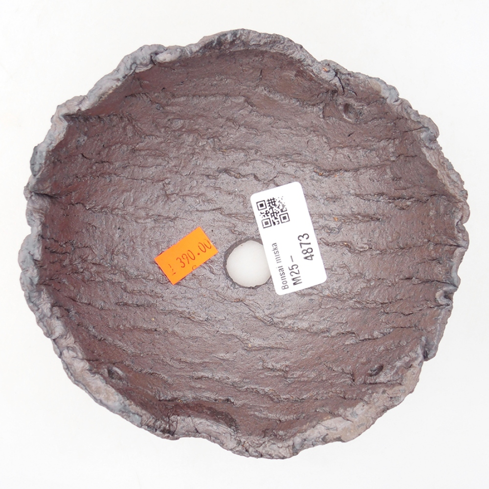 Guscio in ceramica 14 x 13 x 13 cm , colore metallizzato